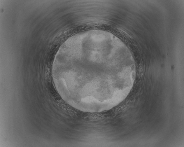 X0000078290917200612011805