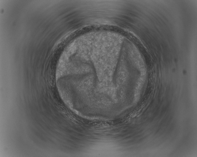 X0000078290919200612011805