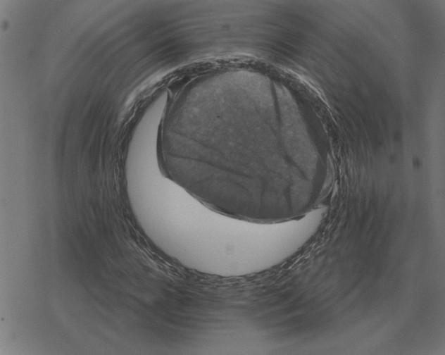 X0000078290920200612011805