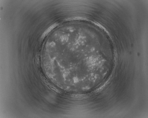 X0000078290921200612011805