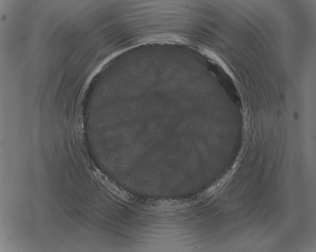 X0000078290923200612011805