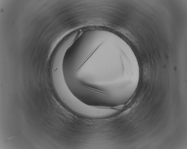 X0000078290926200612011805