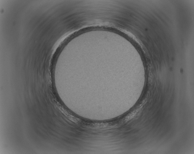 X0000078290927200612011805