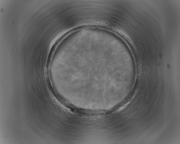 X0000078290928200612011805