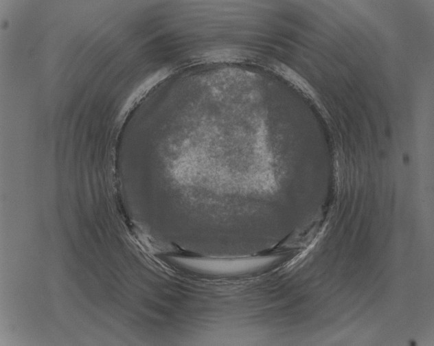 X0000078290930200612011805