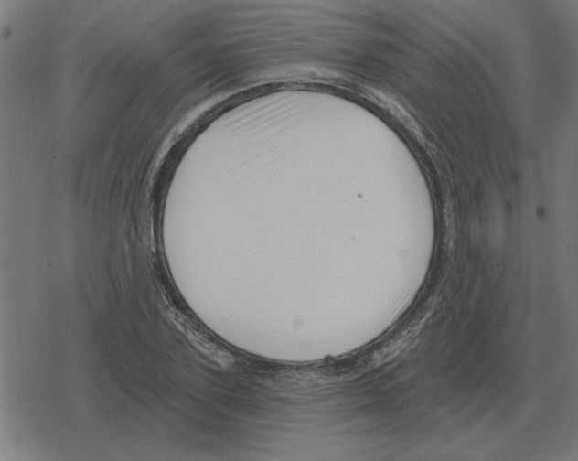 X0000078290931200612011805