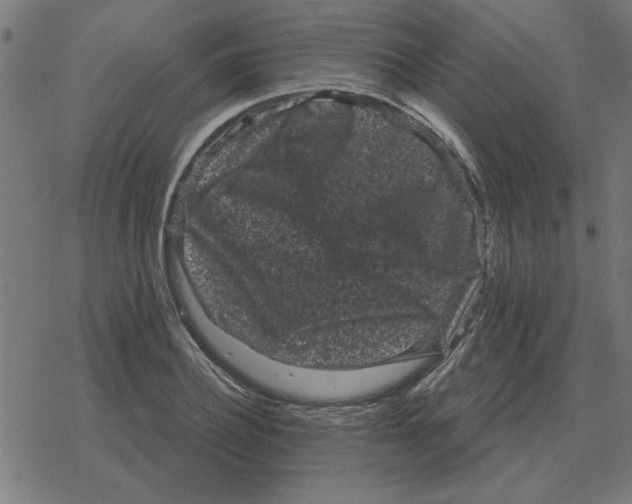 X0000078290932200612011805