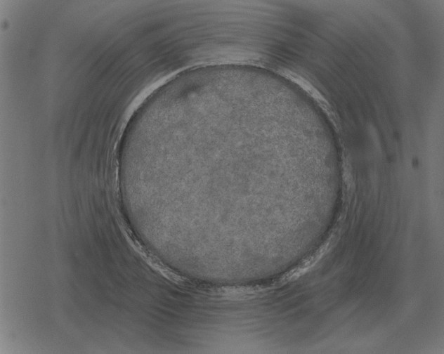 X0000078290933200612011805