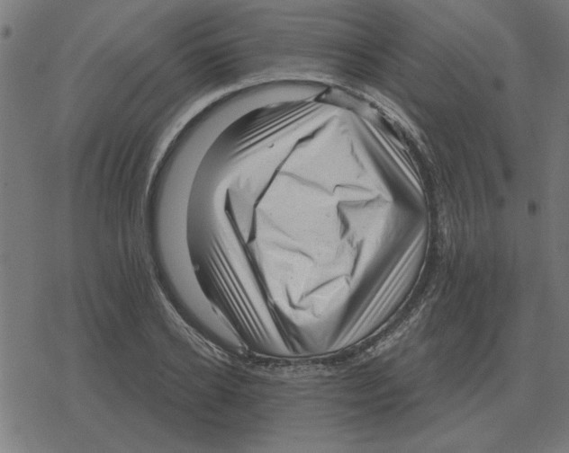 X0000078290934200612011805