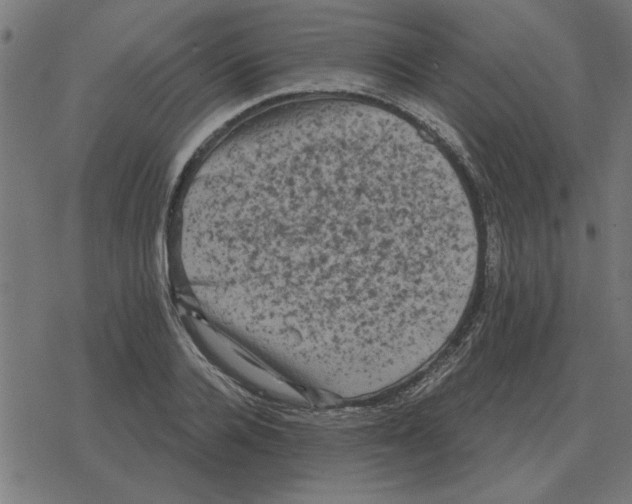 X0000078290936200612011805