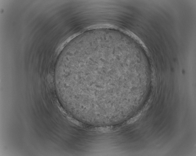 X0000078290937200612011805