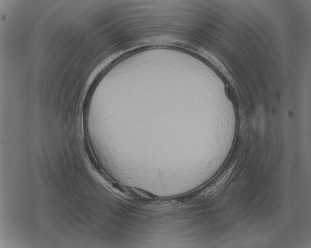 X0000078290939200612011805