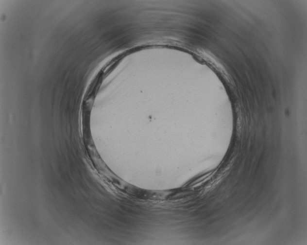 X0000078290940200612011805