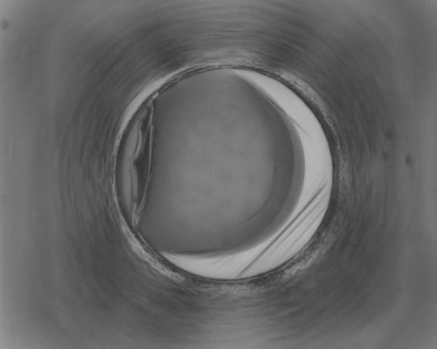 X0000078290941200612011805