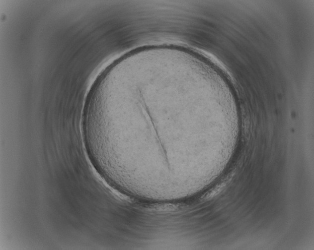 X0000078290943200612011805