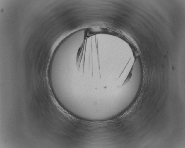 X0000078290944200612011805