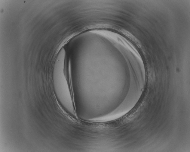 X0000078290945200612011805