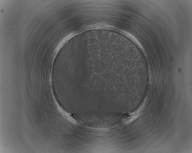 X0000078290946200612011806