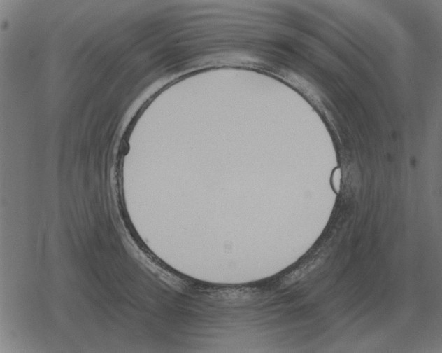 X0000078290947200612011806