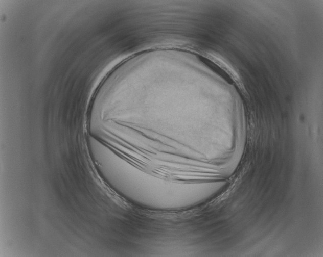 X0000078290948200612011806