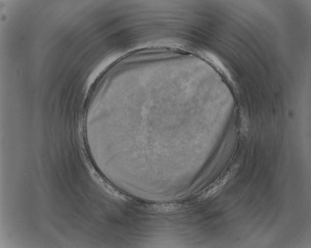 X0000078290952200612011806