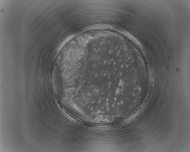 X0000078290953200612011806