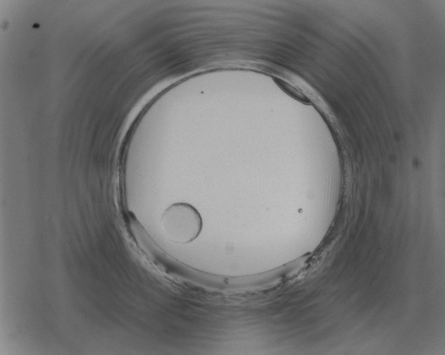 X0000078290955200612011806