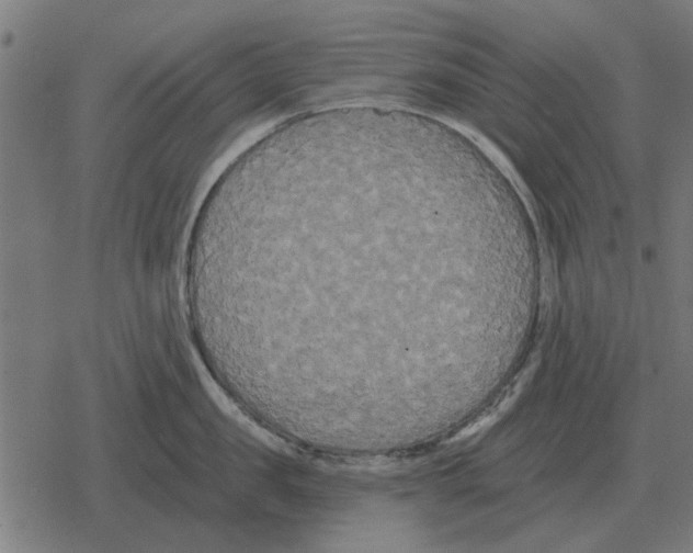 X0000078290957200612011806