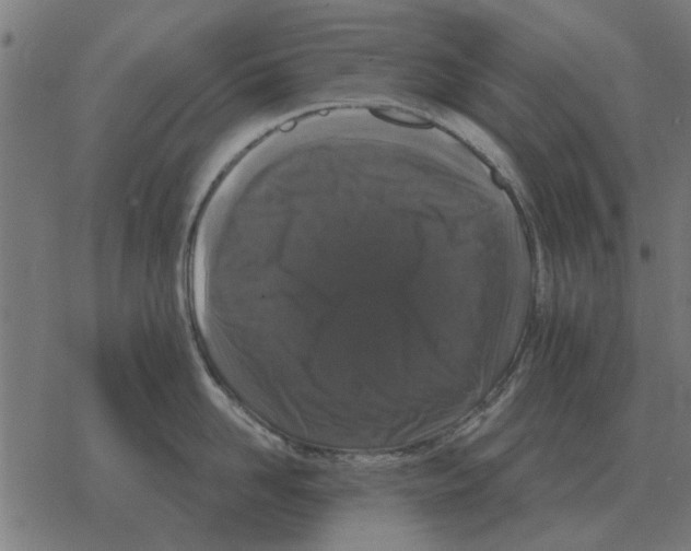 X0000078290958200612011806