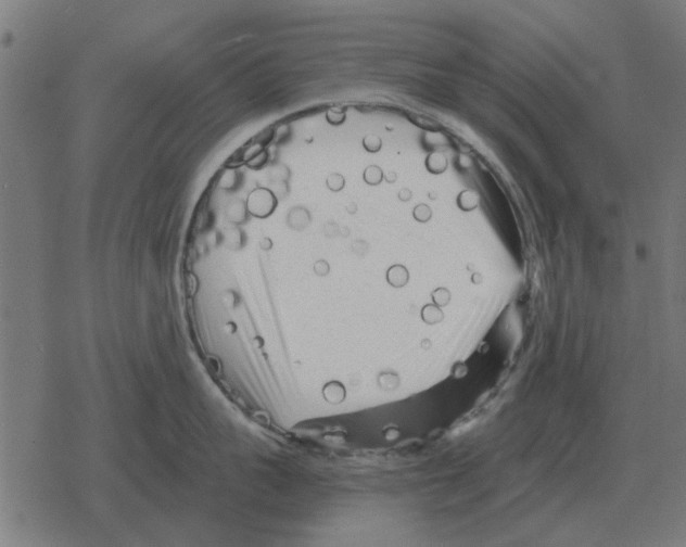 X0000078290959200612011806