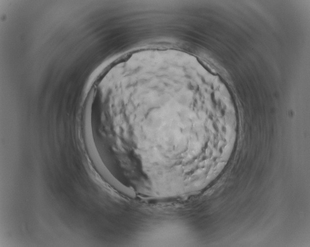 X0000078290960200612011806