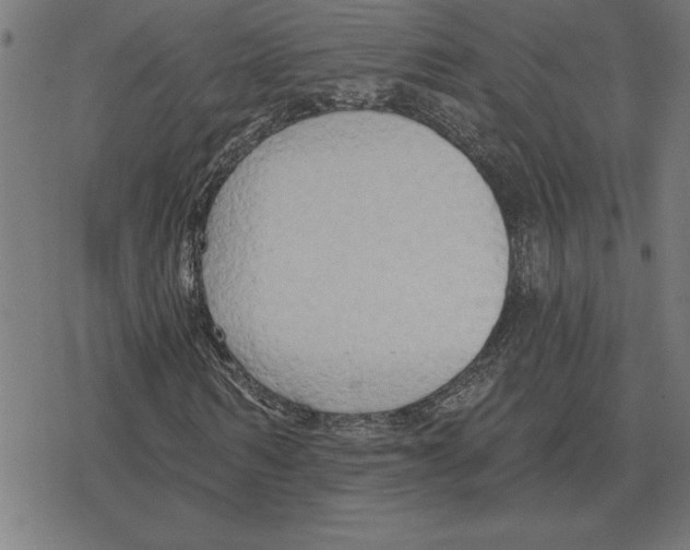 X0000078290962200612011805