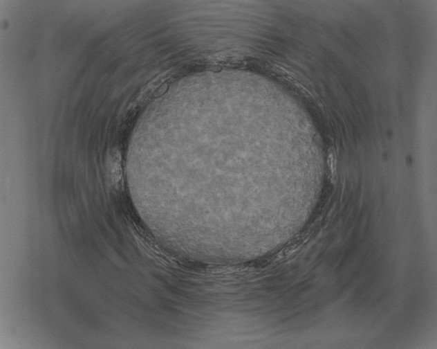 X0000078290963200612011805