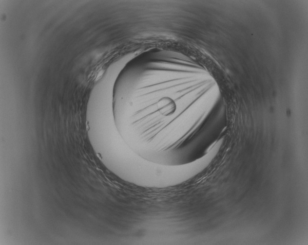 X0000078290965200612011805