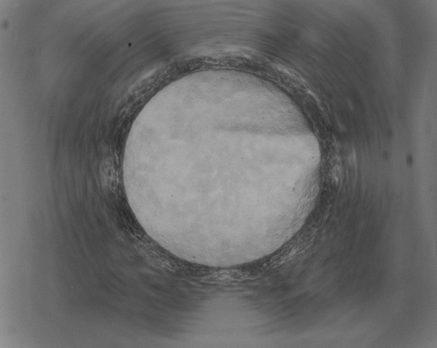 X0000078290966200612011805