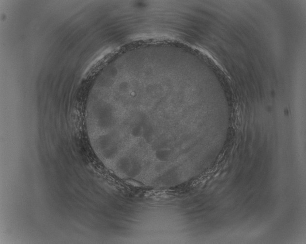 X0000078290967200612011805