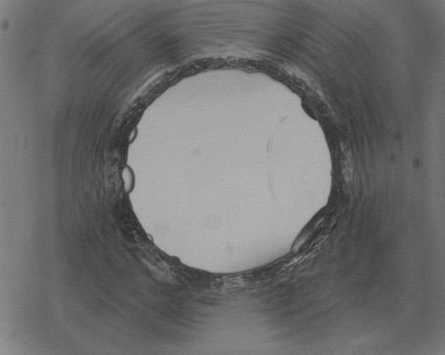 X0000078290968200612011805