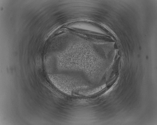 X0000078290969200612011805