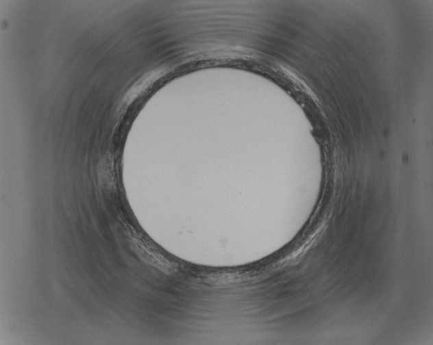 X0000078290970200612011805