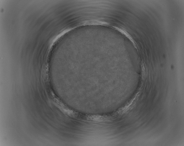 X0000078290971200612011805