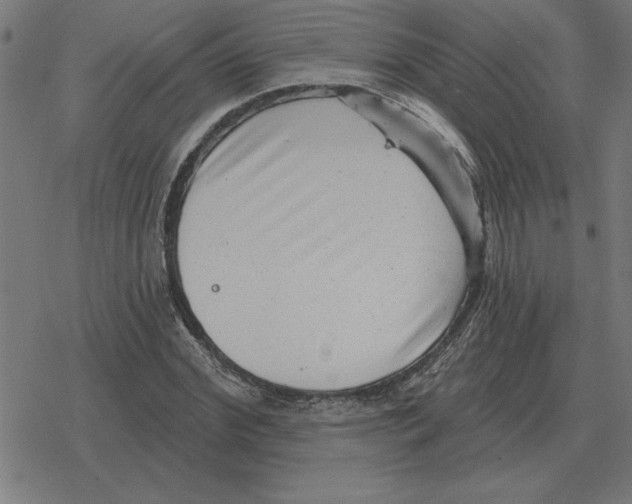 X0000078290972200612011805