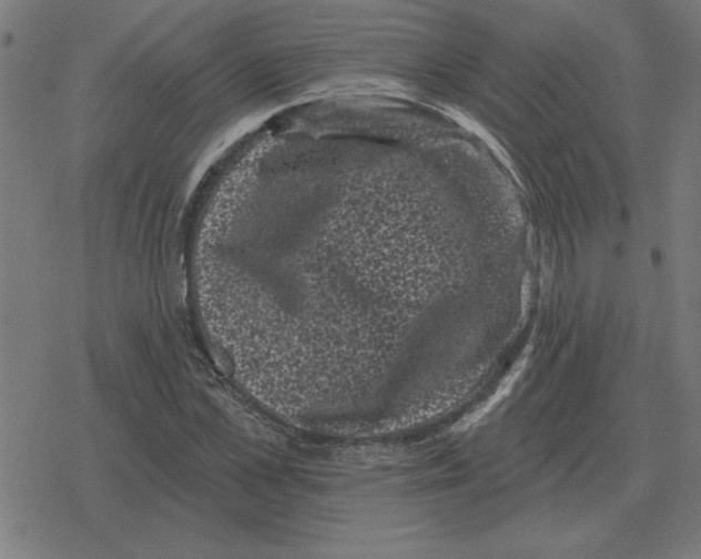 X0000078290973200612011805