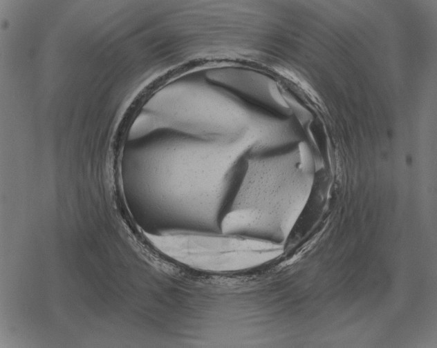 X0000078290976200612011805