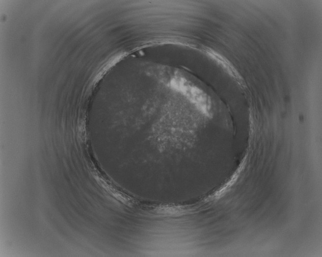 X0000078290977200612011805