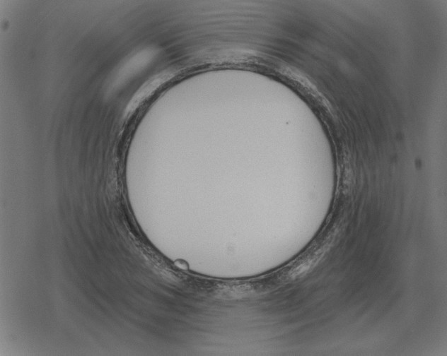 X0000078290978200612011805