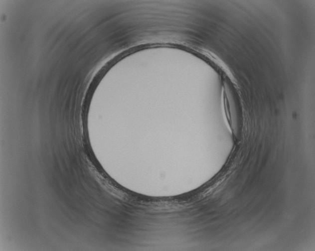 X0000078290980200612011805