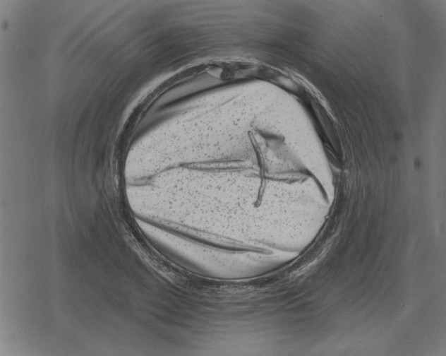 X0000078290981200612011805