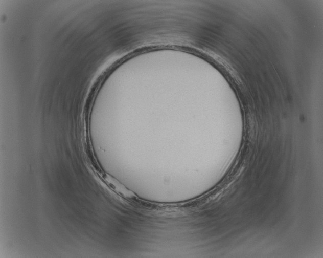 X0000078290982200612011805