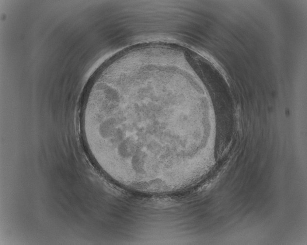 X0000078290983200612011805