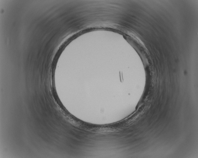 X0000078290984200612011805